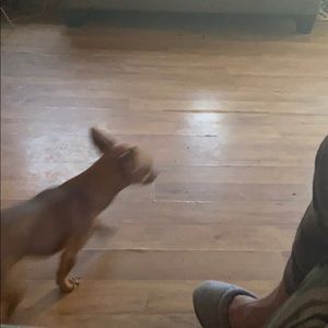 Meet your Posher, Shane